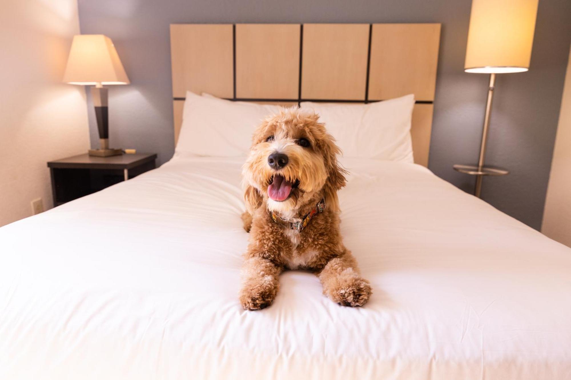 Sonesta Simply Parsippany